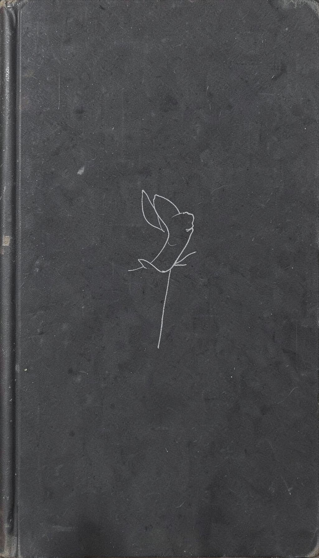 A stark book cover in charcoal black and faded white, with a single delicate line drawing suggesting fragility and absence